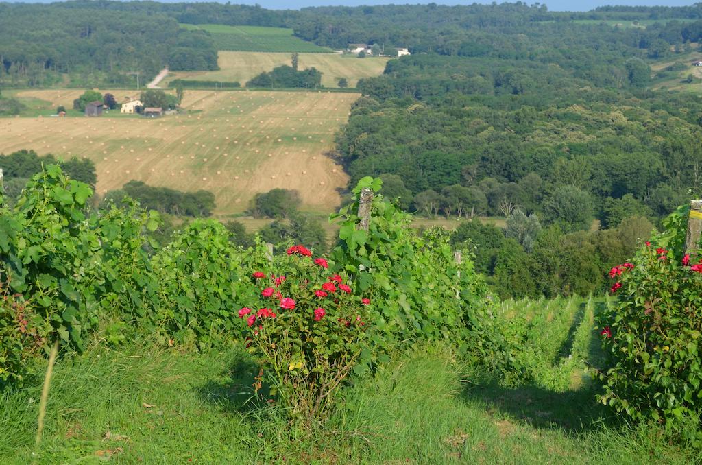 Maison D'Hotes Rouge Bordeaux Auros 외부 사진